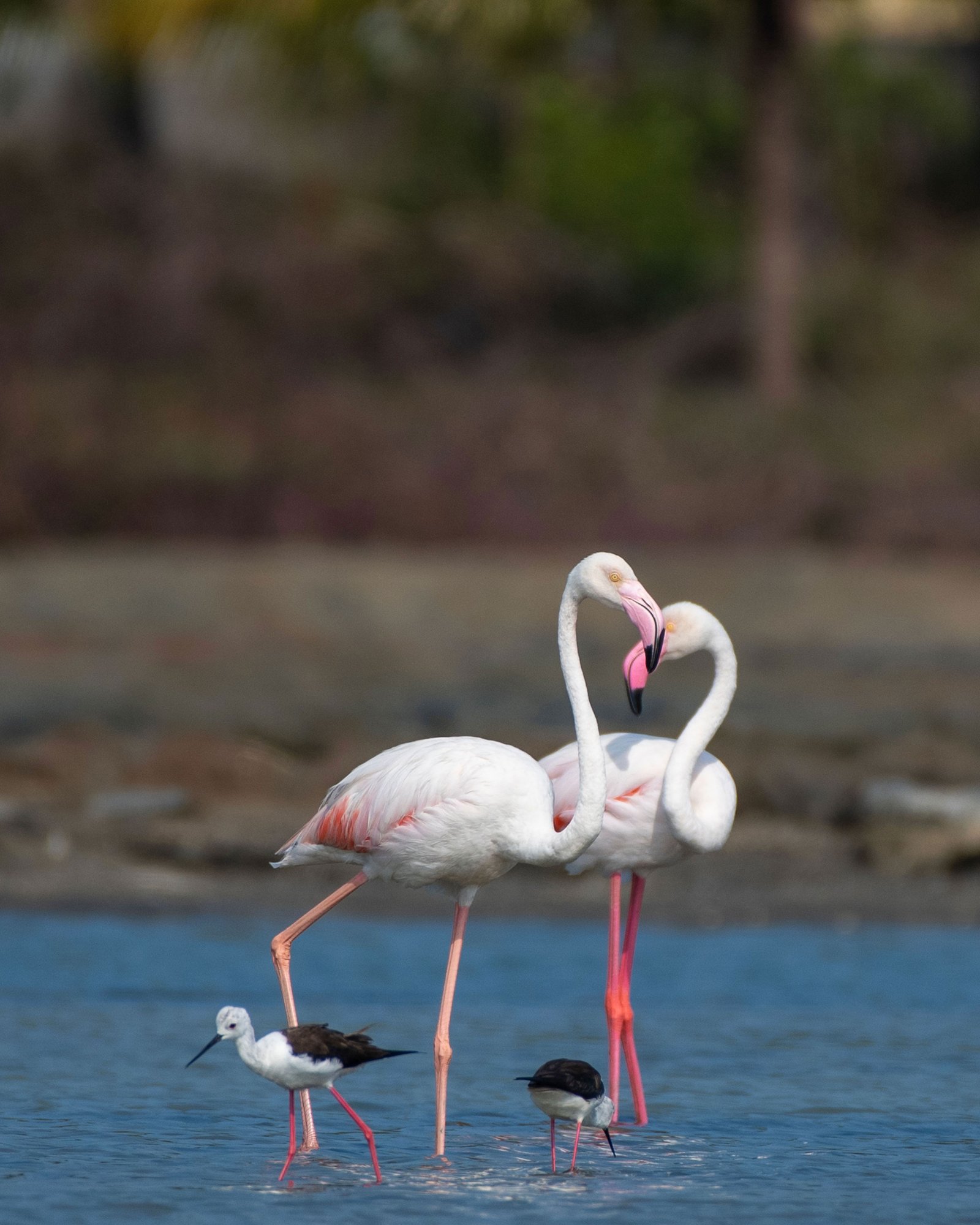 Jithindev Photography